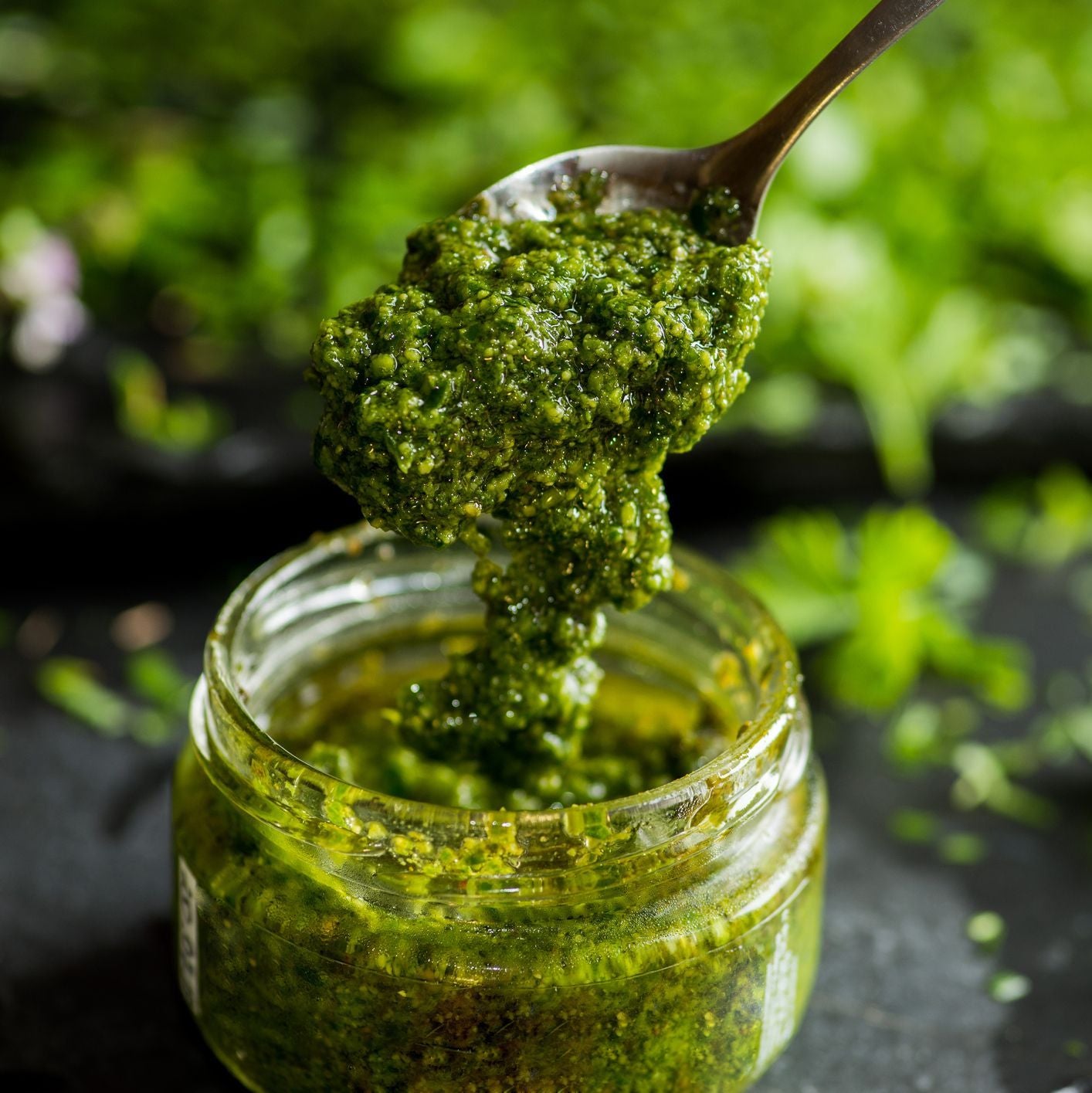 Pesto Roquette et Graine de Citrouille