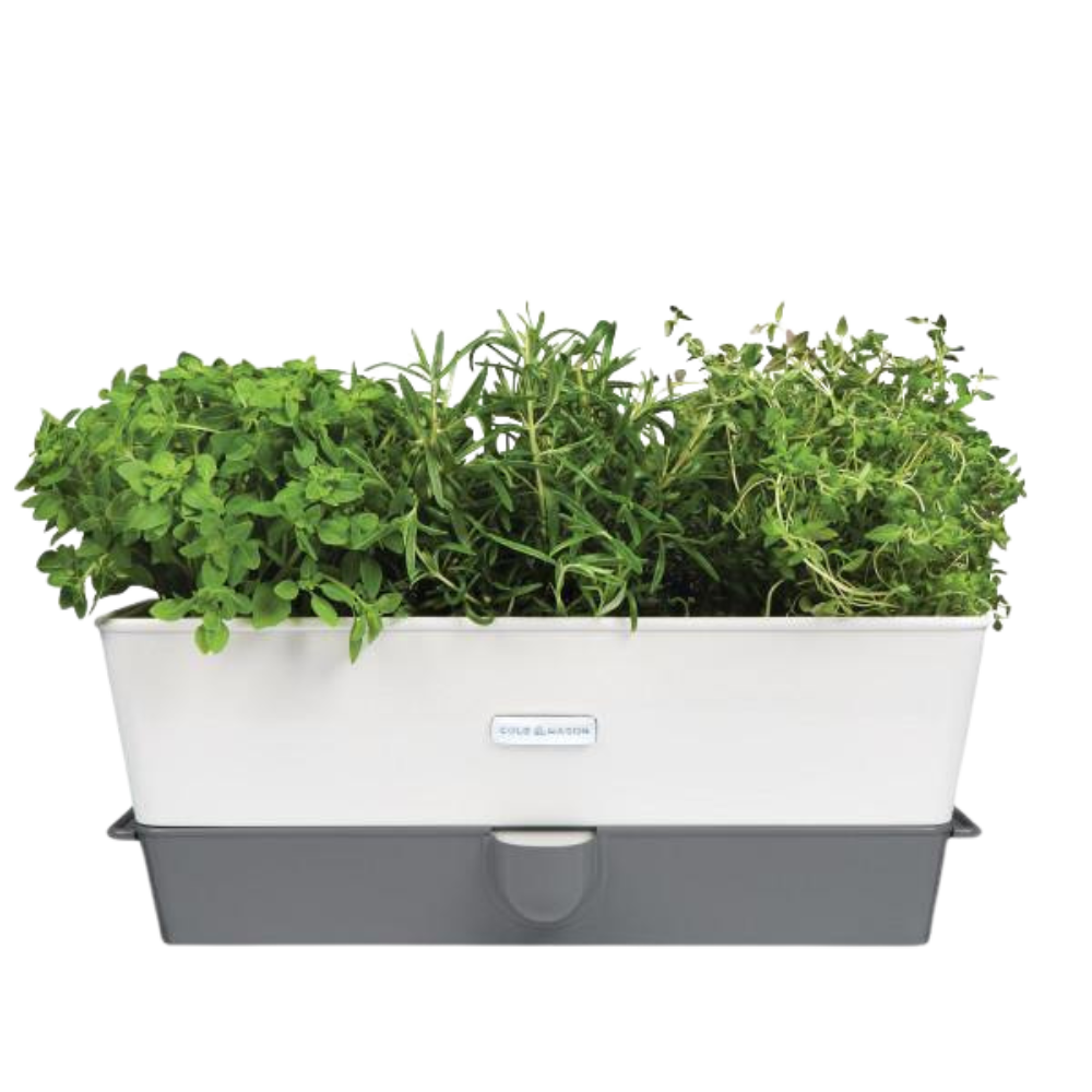 Jardinière pour fines herbes avec réservoir 3-Pcs de Cole & Mason